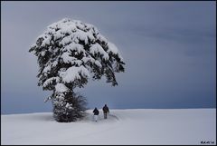 Winterspaziergang