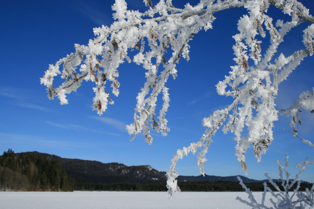 Winterspaziergang