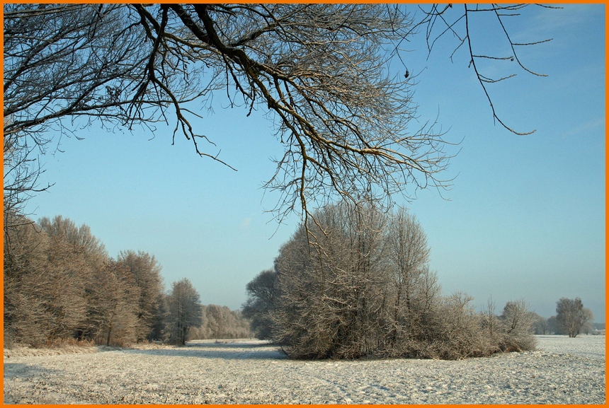 Winterspaziergang II