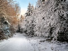 Winterspaziergang im Advent