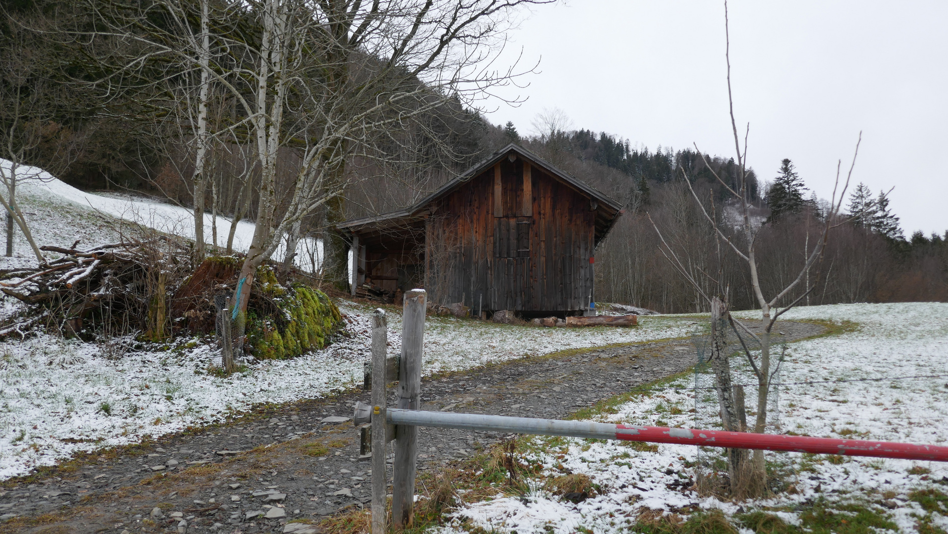 Winterspaziergang (im Allgäu)