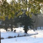 Winterspaziergang im Branitzer Park