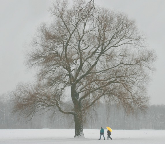 Winterspaziergang im Englischen Garten