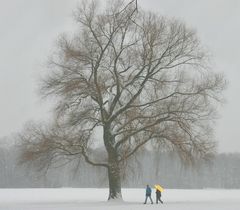 Winterspaziergang im Englischen Garten