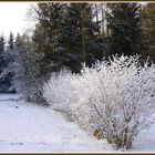 Winterspaziergang im Freilichtmuseum.