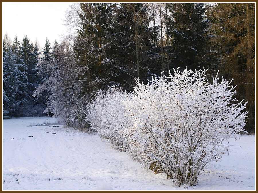 Winterspaziergang im Freilichtmuseum.