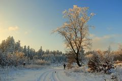 Winterspaziergang im Harz