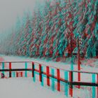 Winterspaziergang im Hohen Venn (3D-Bild)