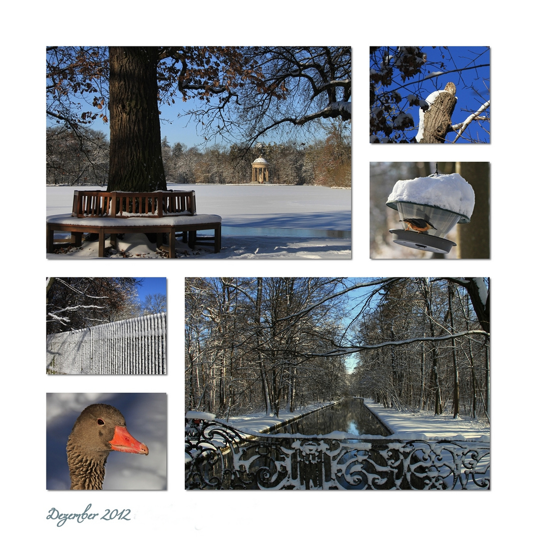 Winterspaziergang im Park