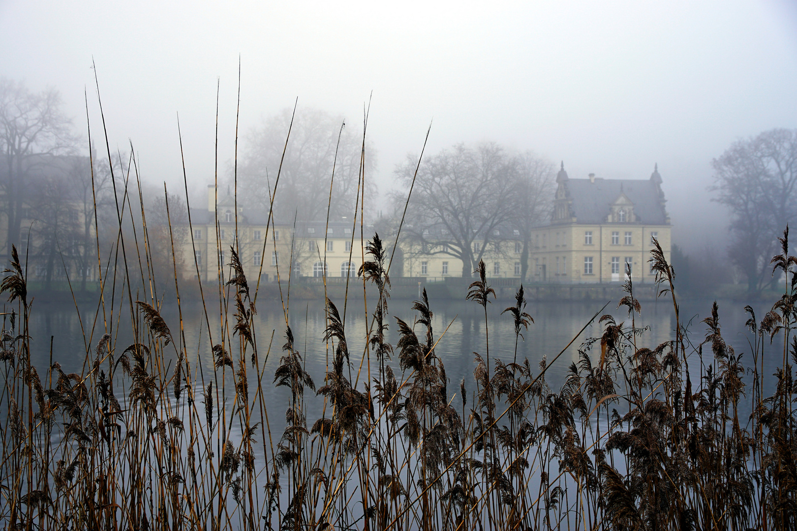 Winterspaziergang  im Park Babelsberg