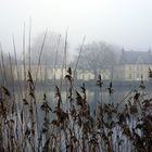 Winterspaziergang  im Park Babelsberg