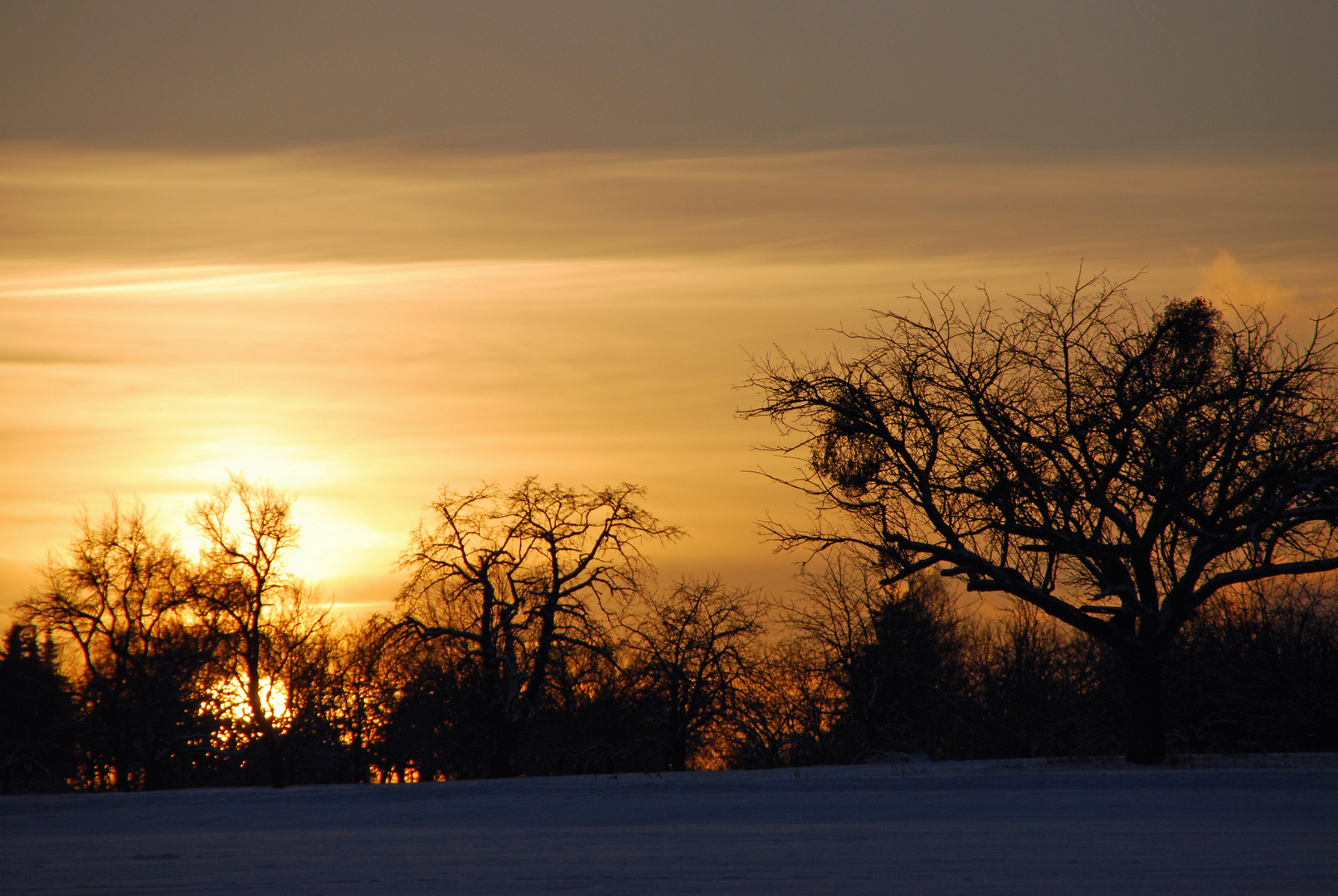 Winterspaziergang im Schnee