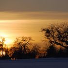 Winterspaziergang im Schnee