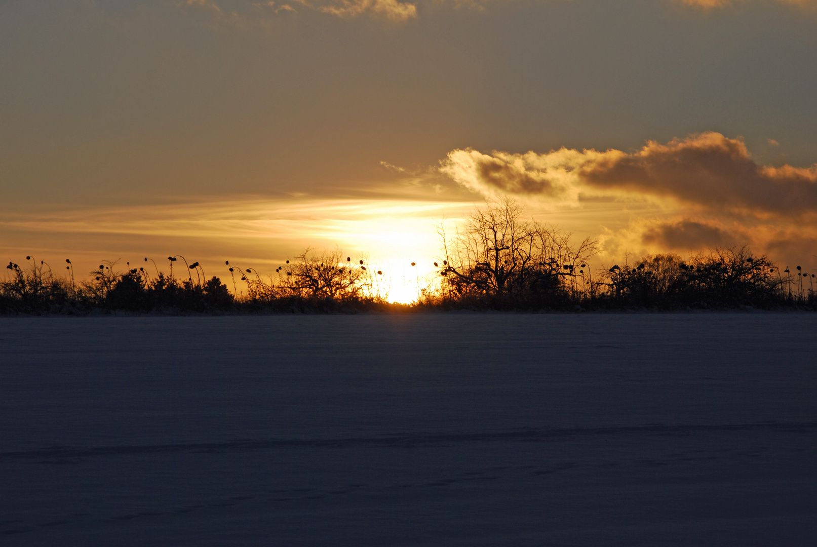 Winterspaziergang im Schnee II