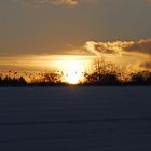 Winterspaziergang im Schnee II