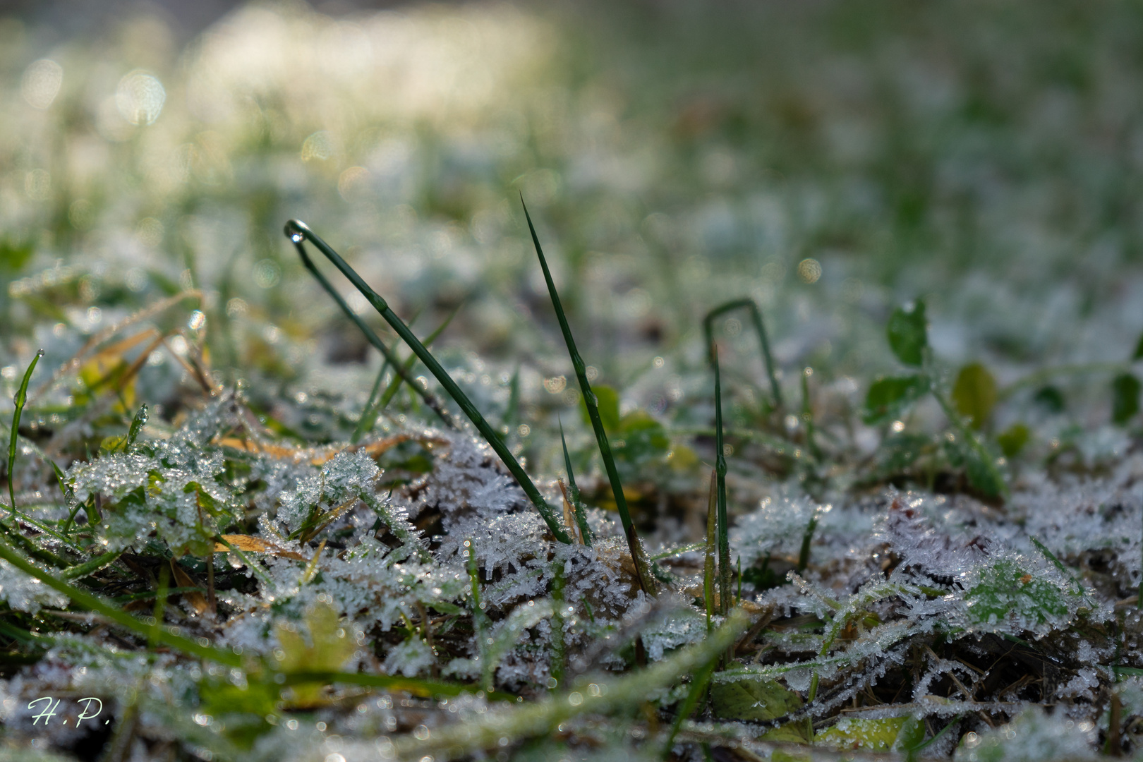 Winterspaziergang im Schwarzwald