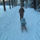 Winterspaziergang im Stadtgarten Viersen-Dülken