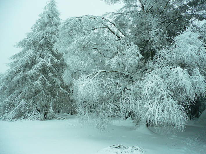 Winterspaziergang im Taunus 2015