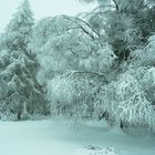 Winterspaziergang im Taunus 2015