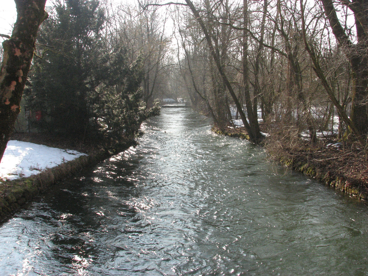 Winterspaziergang im Tierpark Hellabrunn