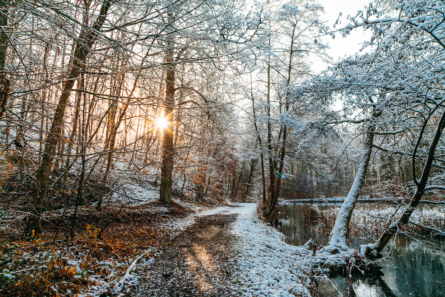 Winterspaziergang im Wald 