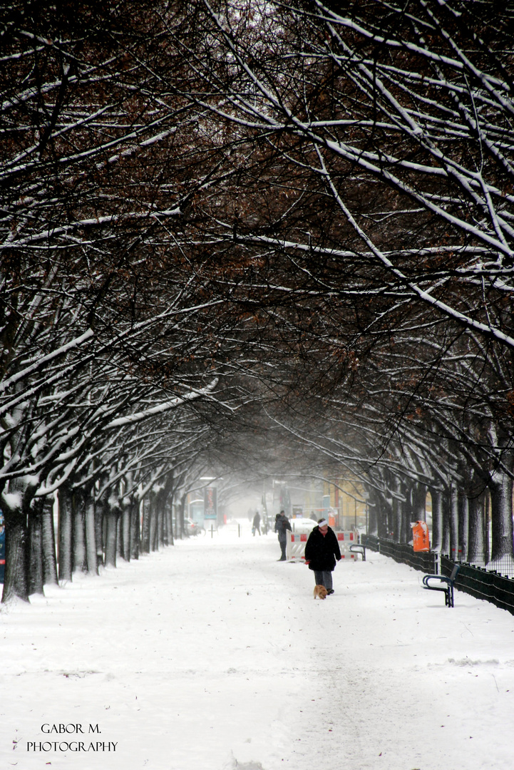 Winterspaziergang in Berlin - Mitte