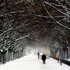 Winterspaziergang in Berlin - Mitte