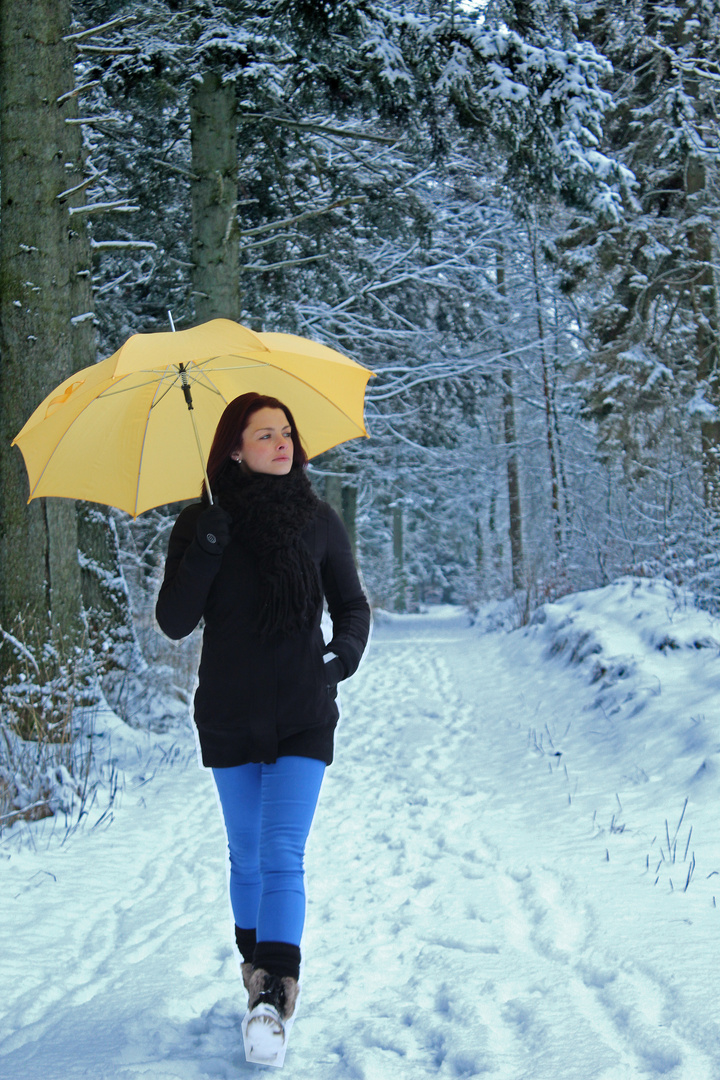 Winterspaziergang in blau und gelb