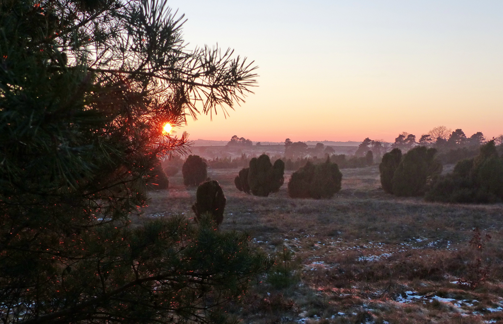 Winterspaziergang in der Heide