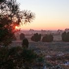 Winterspaziergang in der Heide