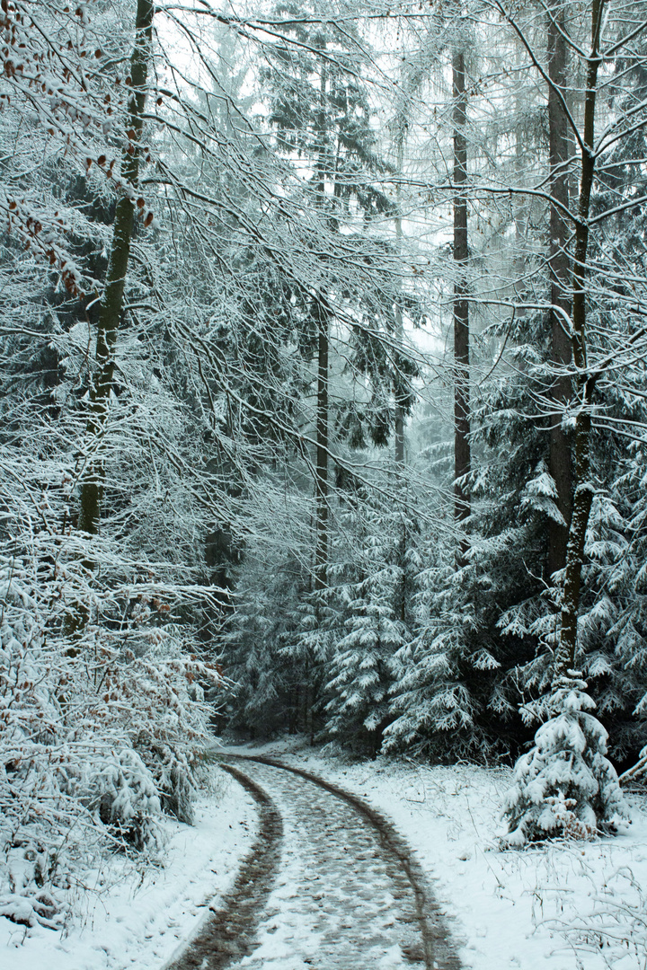 Winterspaziergang in der Heimat #5