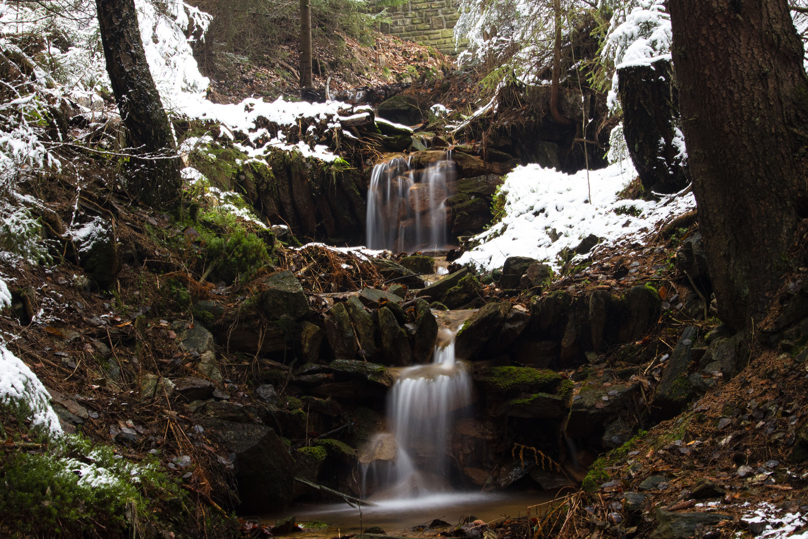 Winterspaziergang in der Heimat #7