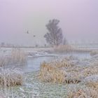 Winterspaziergang in der Keglitz