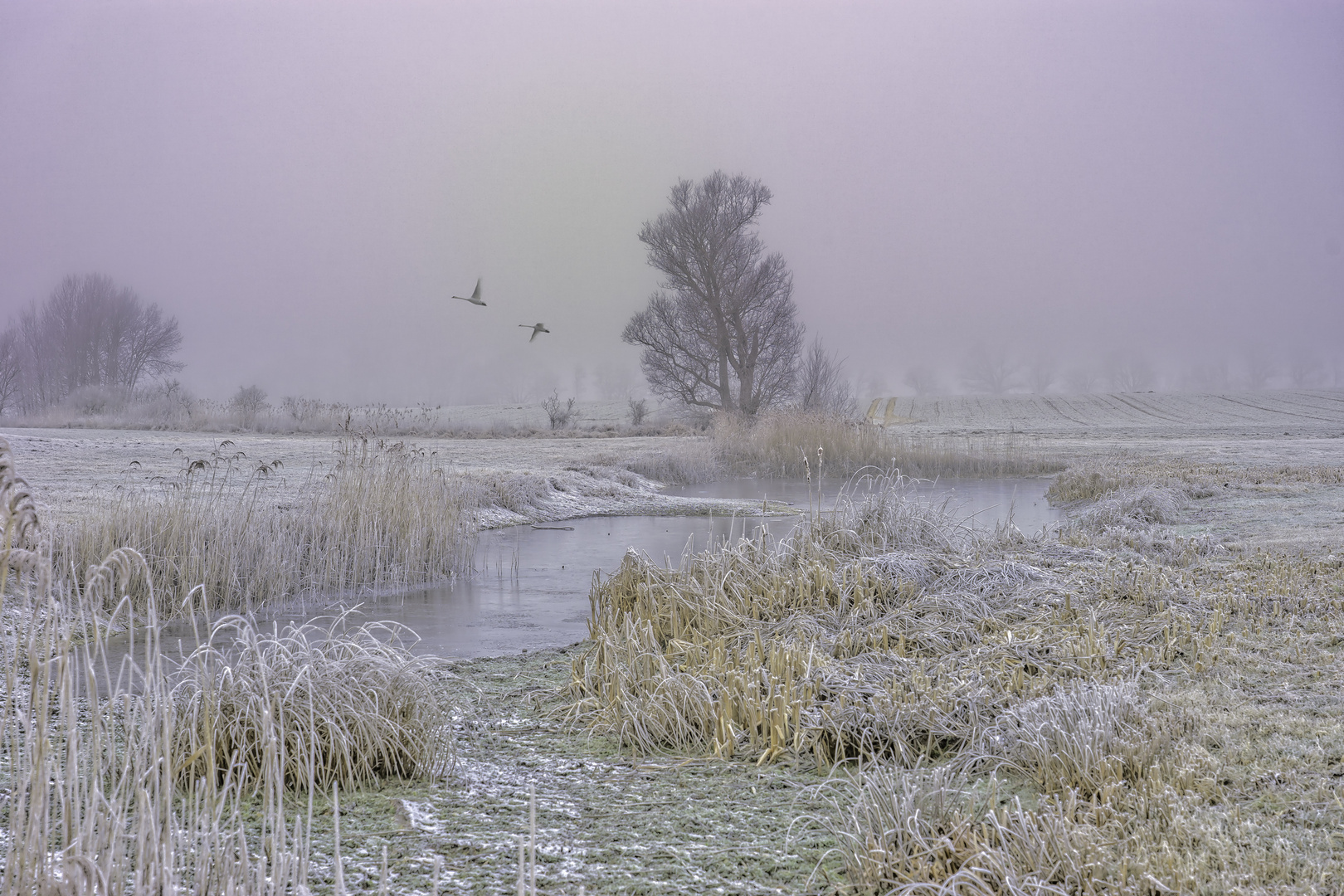 Winterspaziergang in der Keglitz