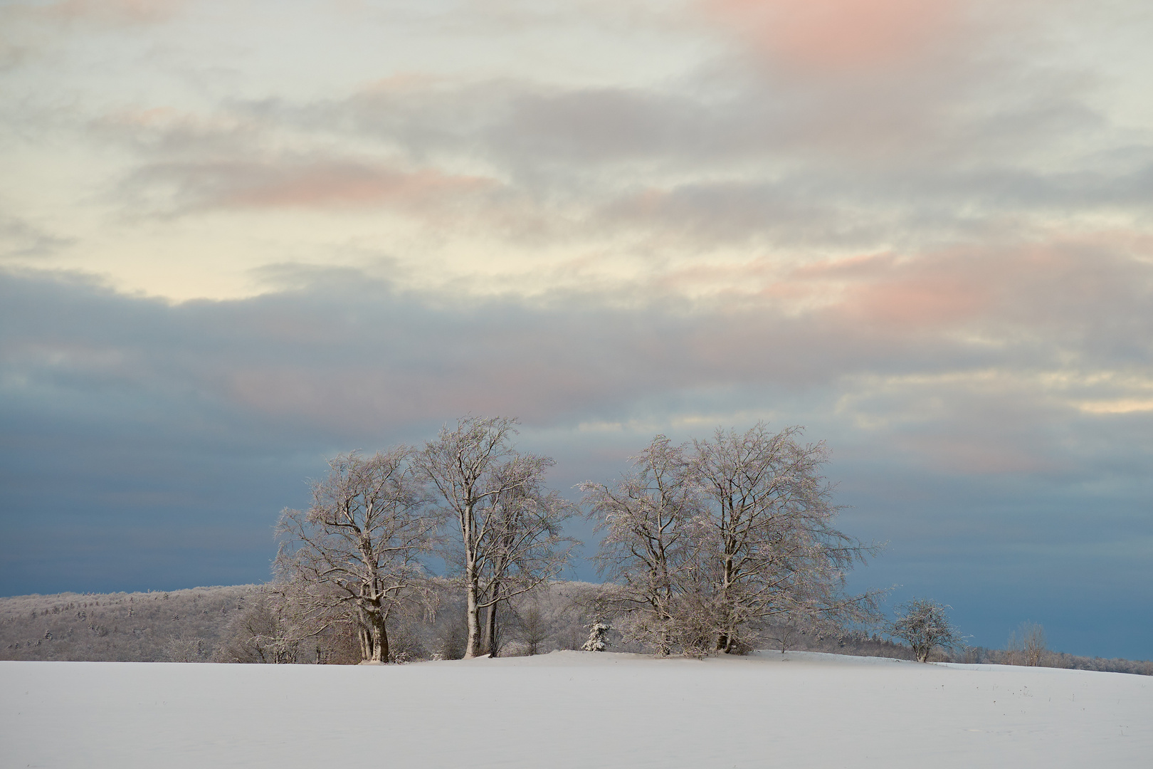 Winterspaziergang in der Rhön