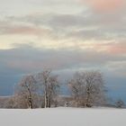 Winterspaziergang in der Rhön