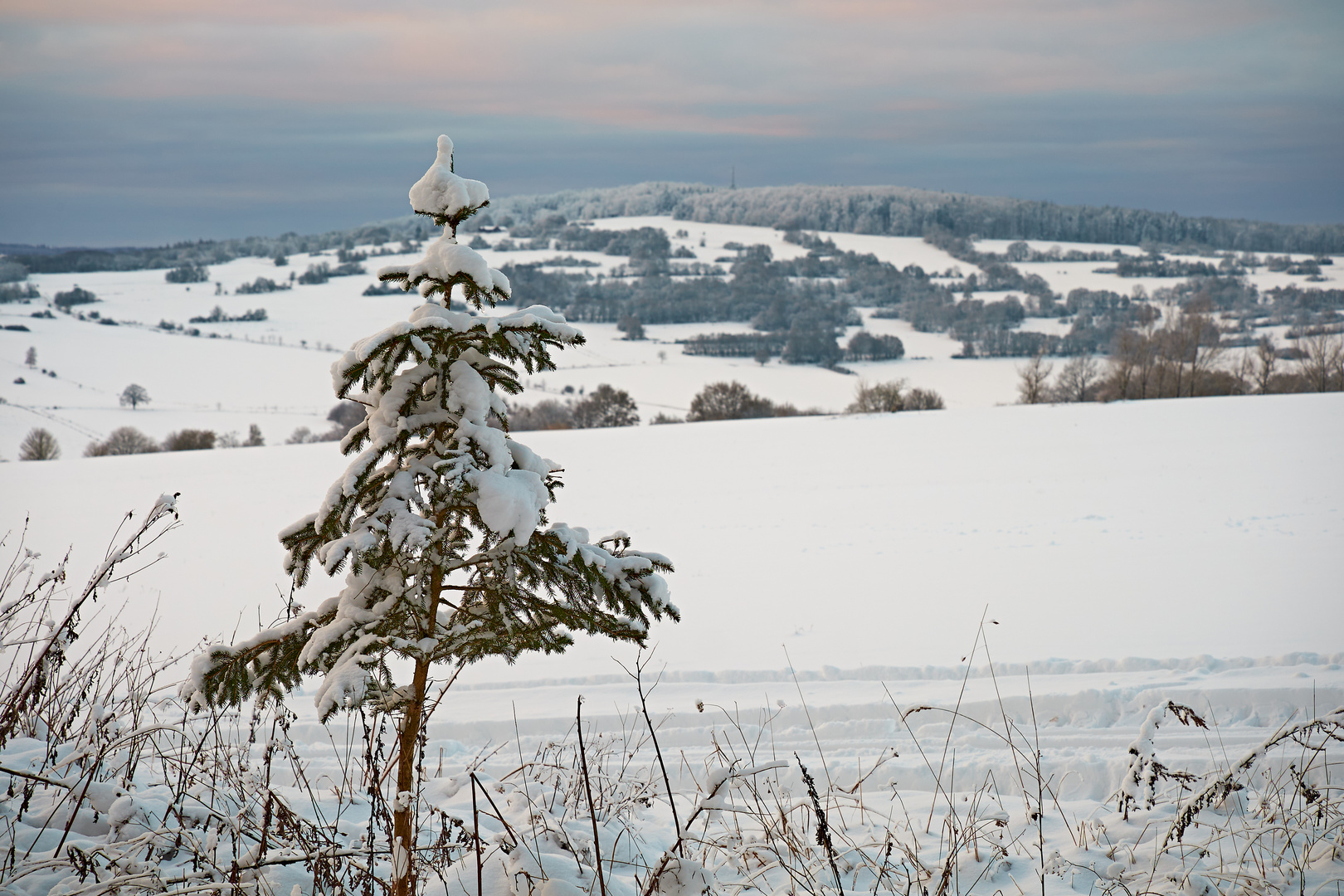 Winterspaziergang in der Rhön