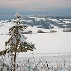 Winterspaziergang in der Rhön