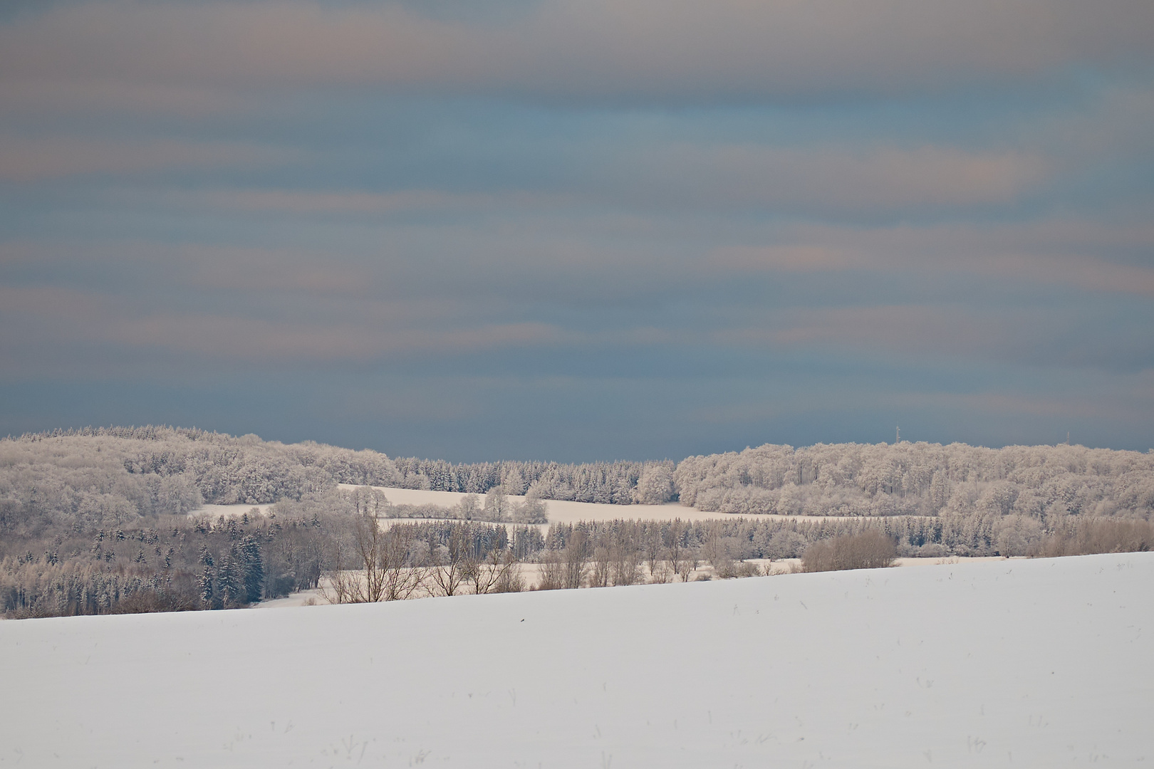 Winterspaziergang in der Rhön