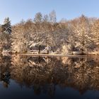 Winterspaziergang in Dietzenbach bei Frankfurt