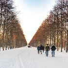 Winterspaziergang in Hannover-Herrenhausen I