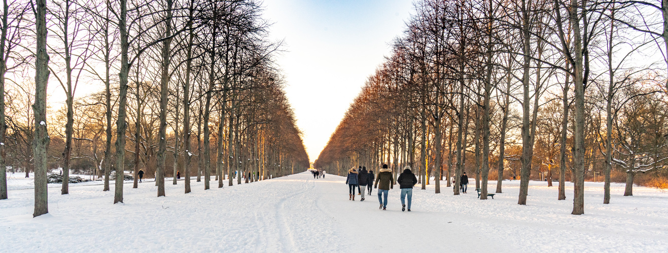 Winterspaziergang in Hannover-Herrenhausen I