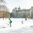 Winterspaziergang in Hannover-Herrenhausen III