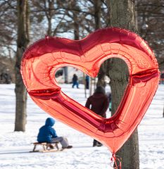 Winterspaziergang in Hannover-Herrenhausen IX