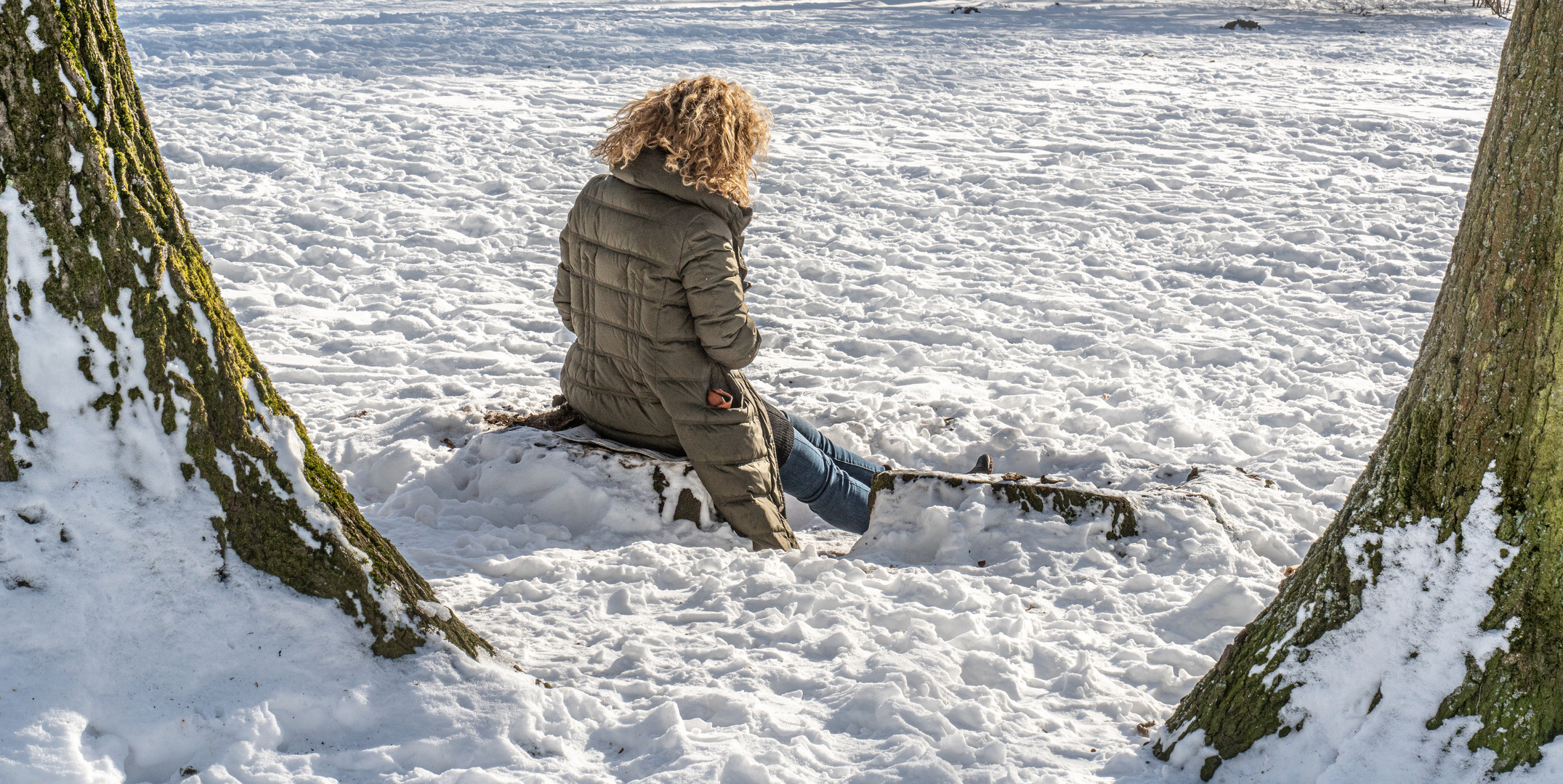 Winterspaziergang in Hannover-Herrenhausen VIII