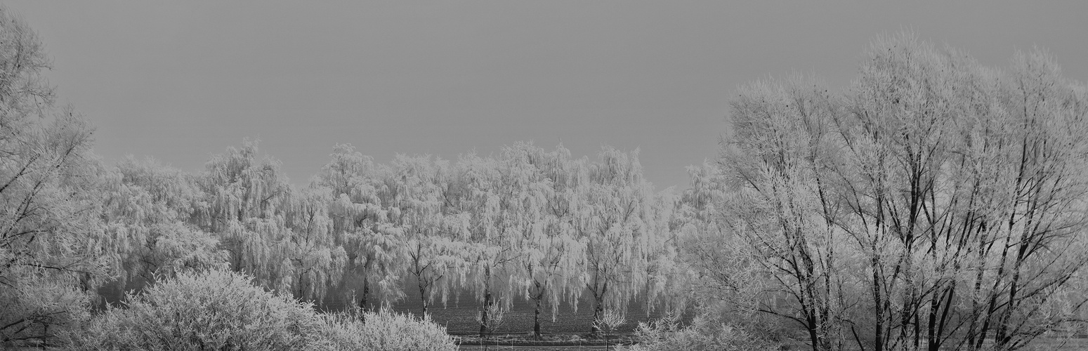 Winterspaziergang in Himmighofen