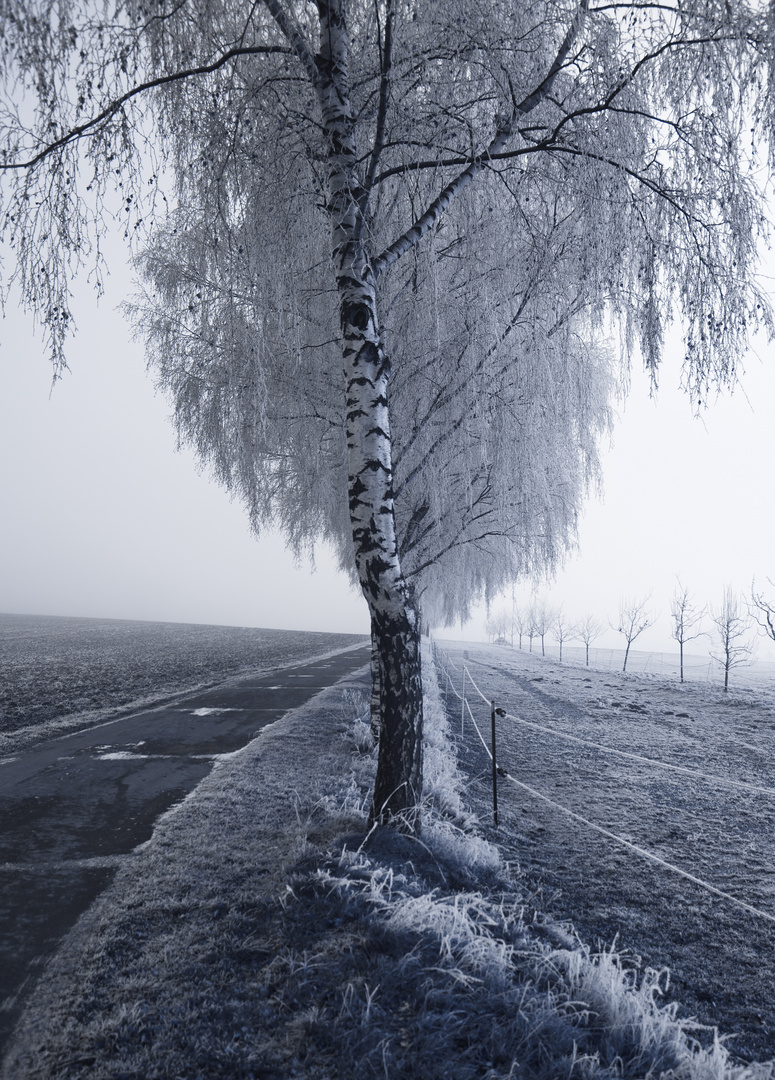 Winterspaziergang in Himmighofen