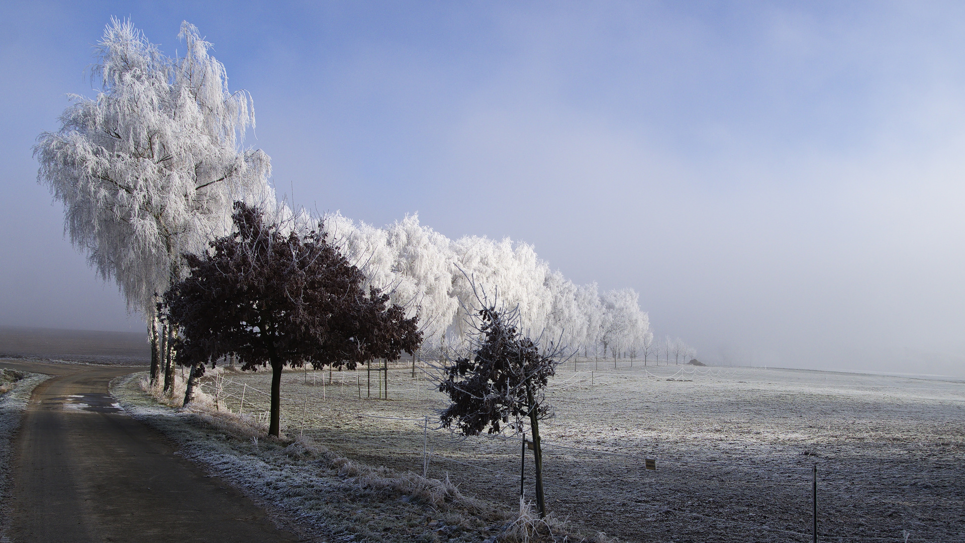 Winterspaziergang in Himmighofen