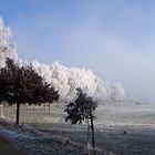 Winterspaziergang in Himmighofen