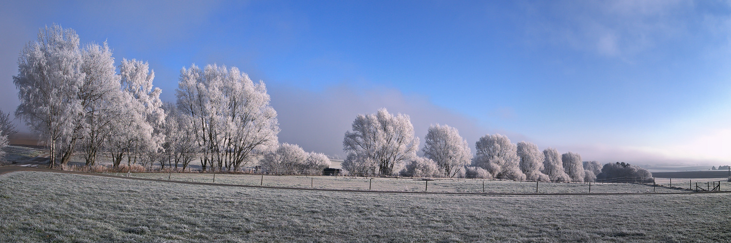 Winterspaziergang in Himmighofen